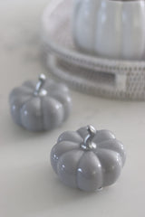 Ceramic Pumpkin Grey - Small 2PC