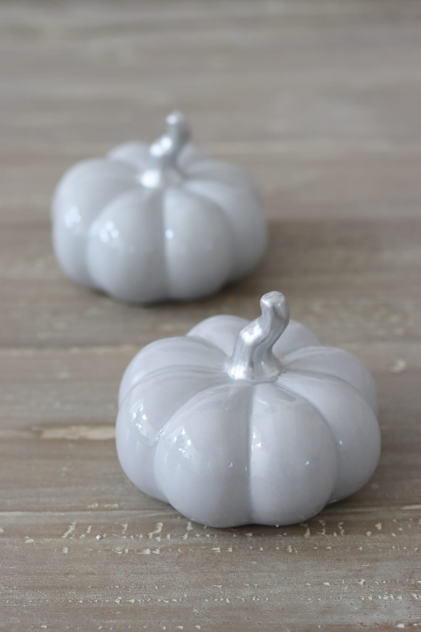 Ceramic Pumpkin Grey - Medium 2PC