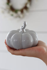Ceramic Pumpkin Grey - Medium 2PC