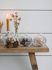 Glass Pumpkin Small Bundle