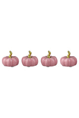 Ceramic Pumpkin Pink - Tiny 4 Pc Set
