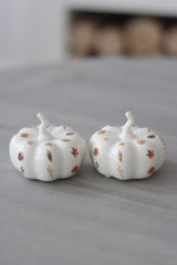 Ceramic Pumpkin Autumnal Pattern - Small 2PC