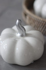 Ceramic Pumpkin Speckled - Medium 2PC