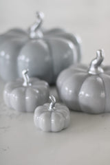 Ceramic Pumpkin Grey - Tiny 4PC