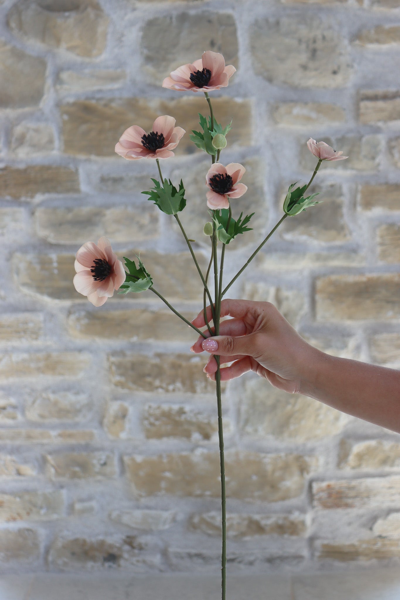Anemone Bundle  - Berry Meadow