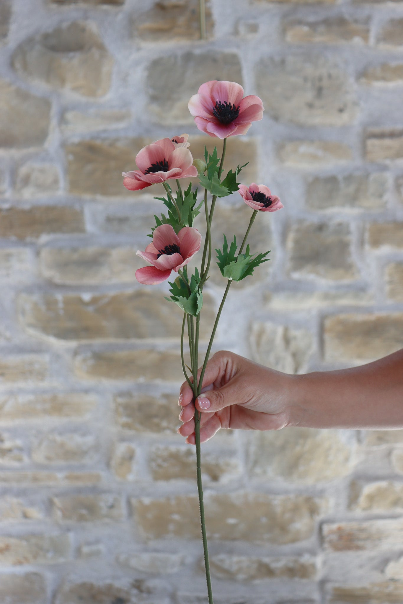 Anemone Bundle  - Berry Meadow