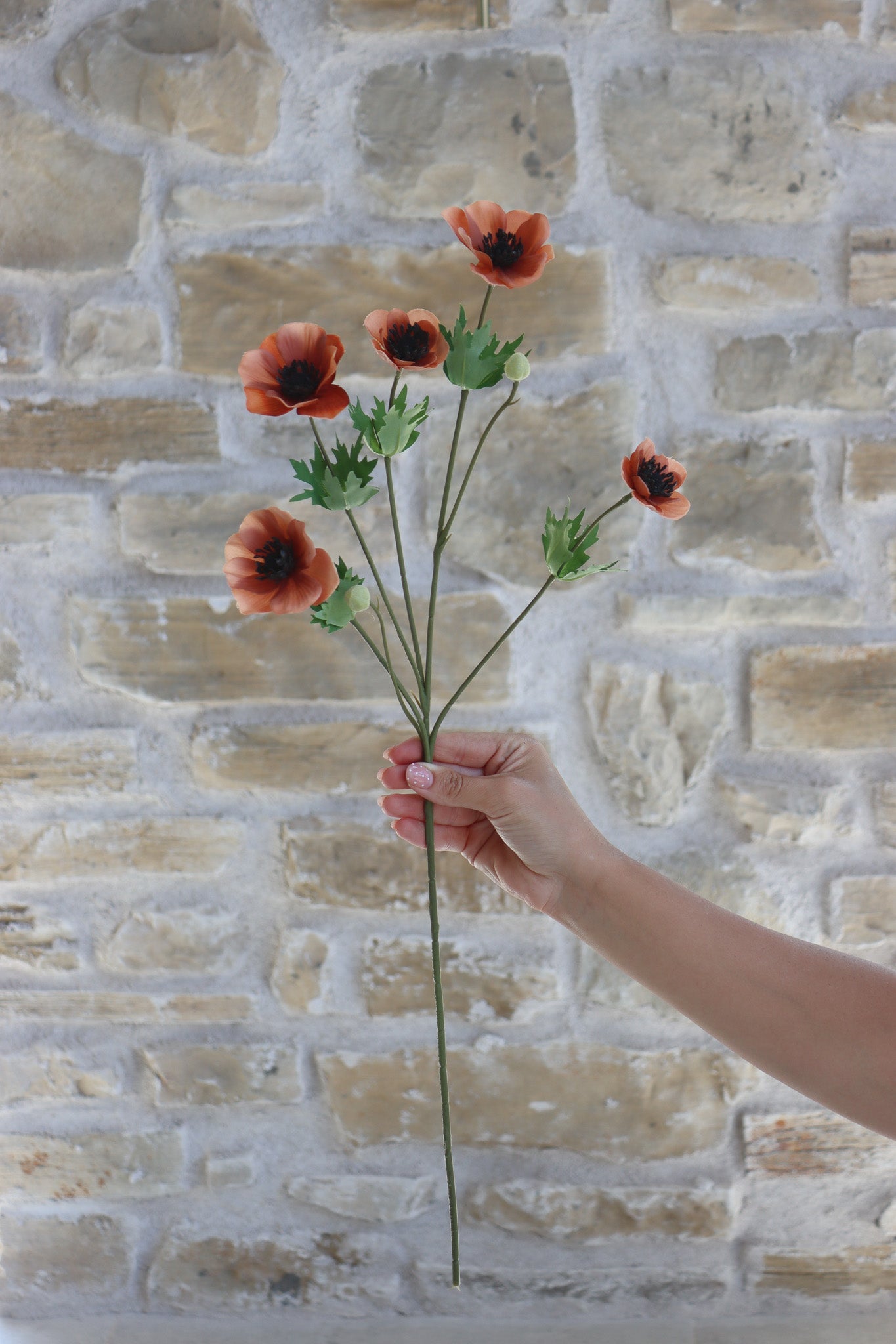 Anemone Bundle  - Berry Meadow