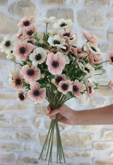 Anemone Bundle  - Summer Blush