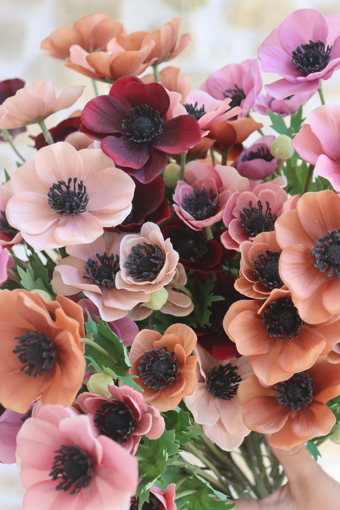 Anemone Bundle  - Berry Meadow