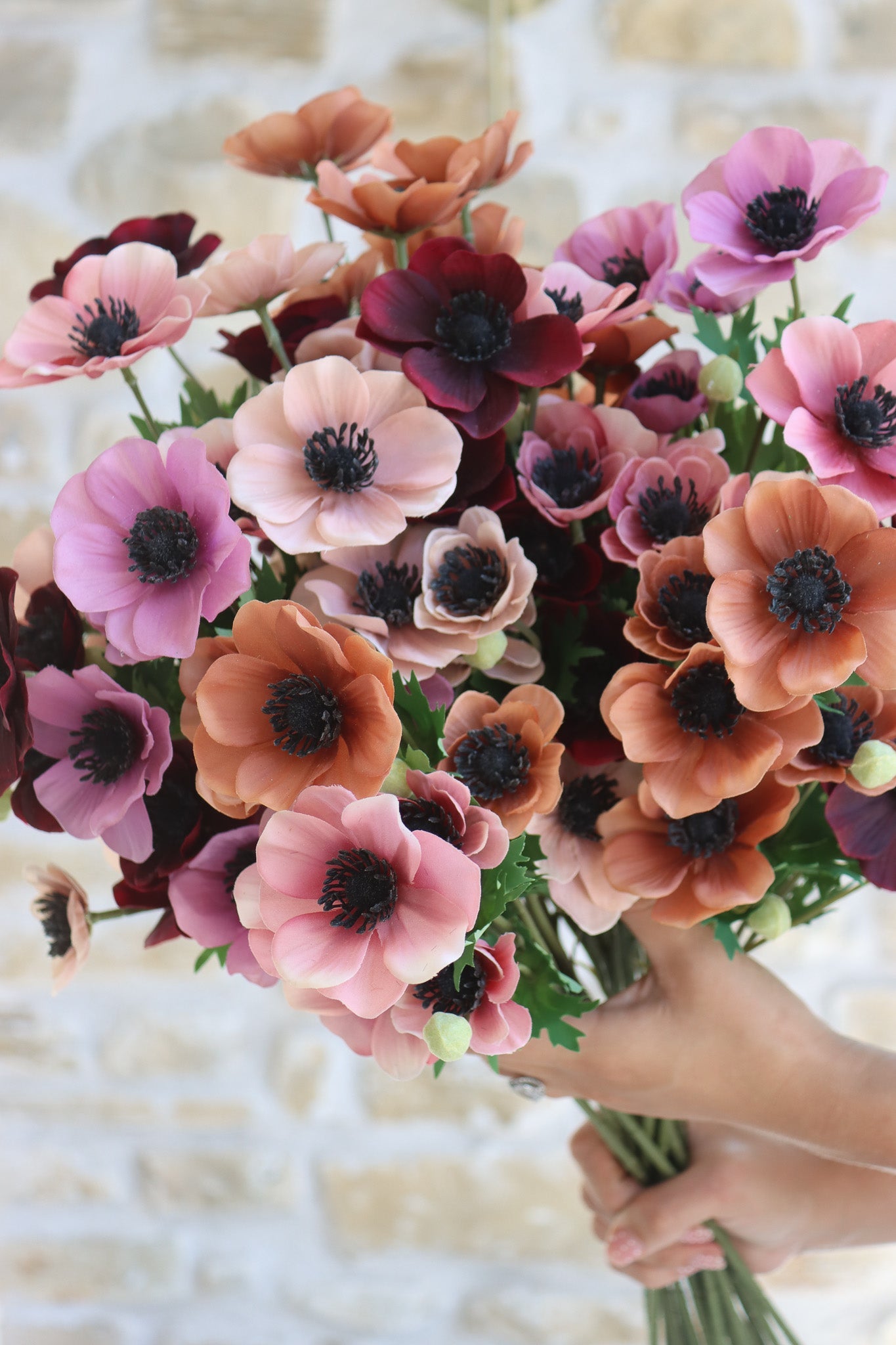 Anemone Bundle  - Berry Meadow