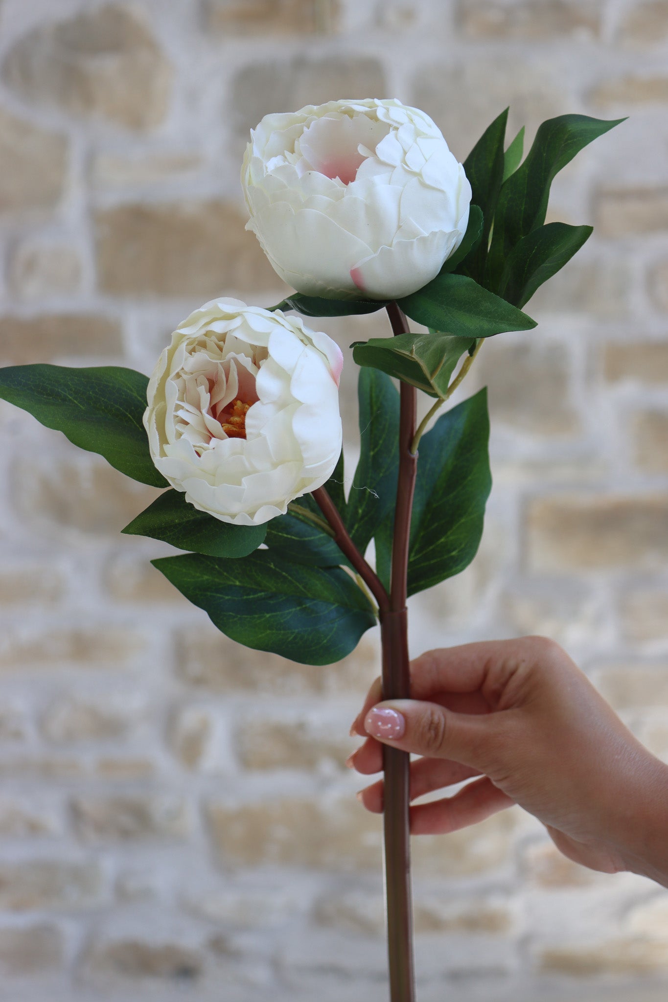 Faux Flowers - Peony Spray - Cream