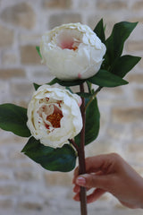 Faux Flowers - Peony Spray - Cream