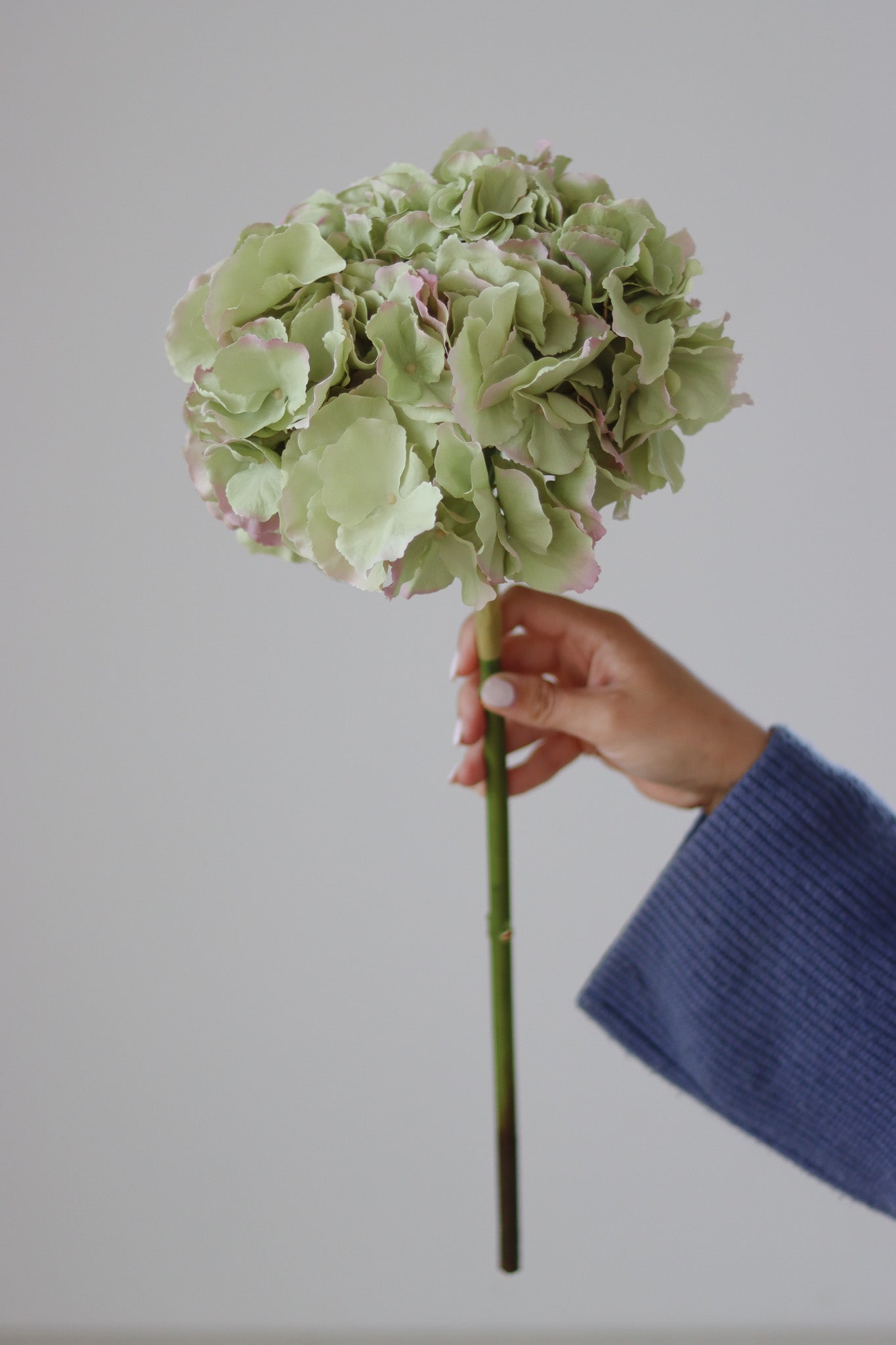 Faux Flowers - Green Hydrangea Stem