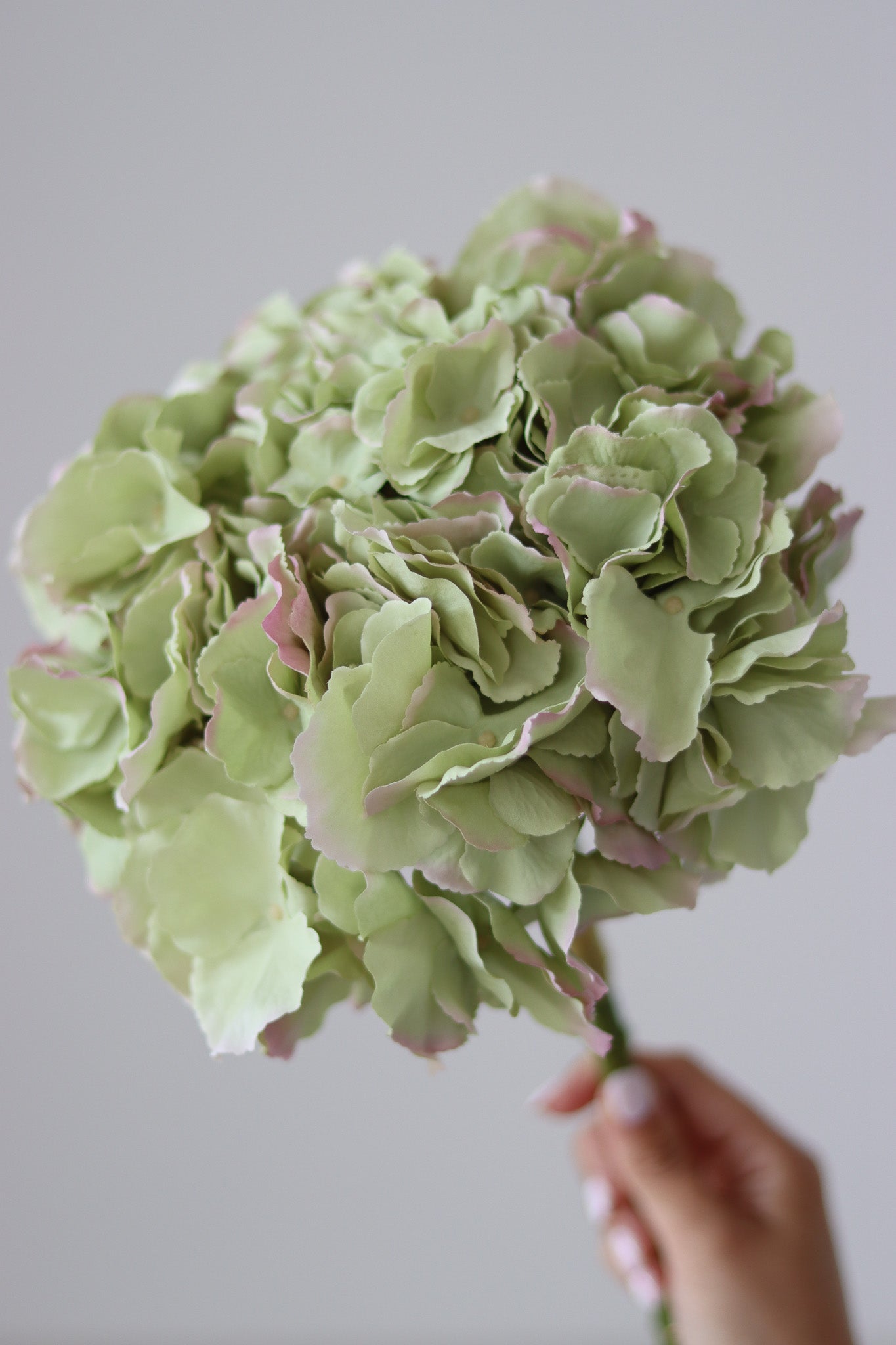 Faux Flowers - Green Hydrangea Stem