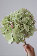 Faux Flowers - Green Hydrangea Stem