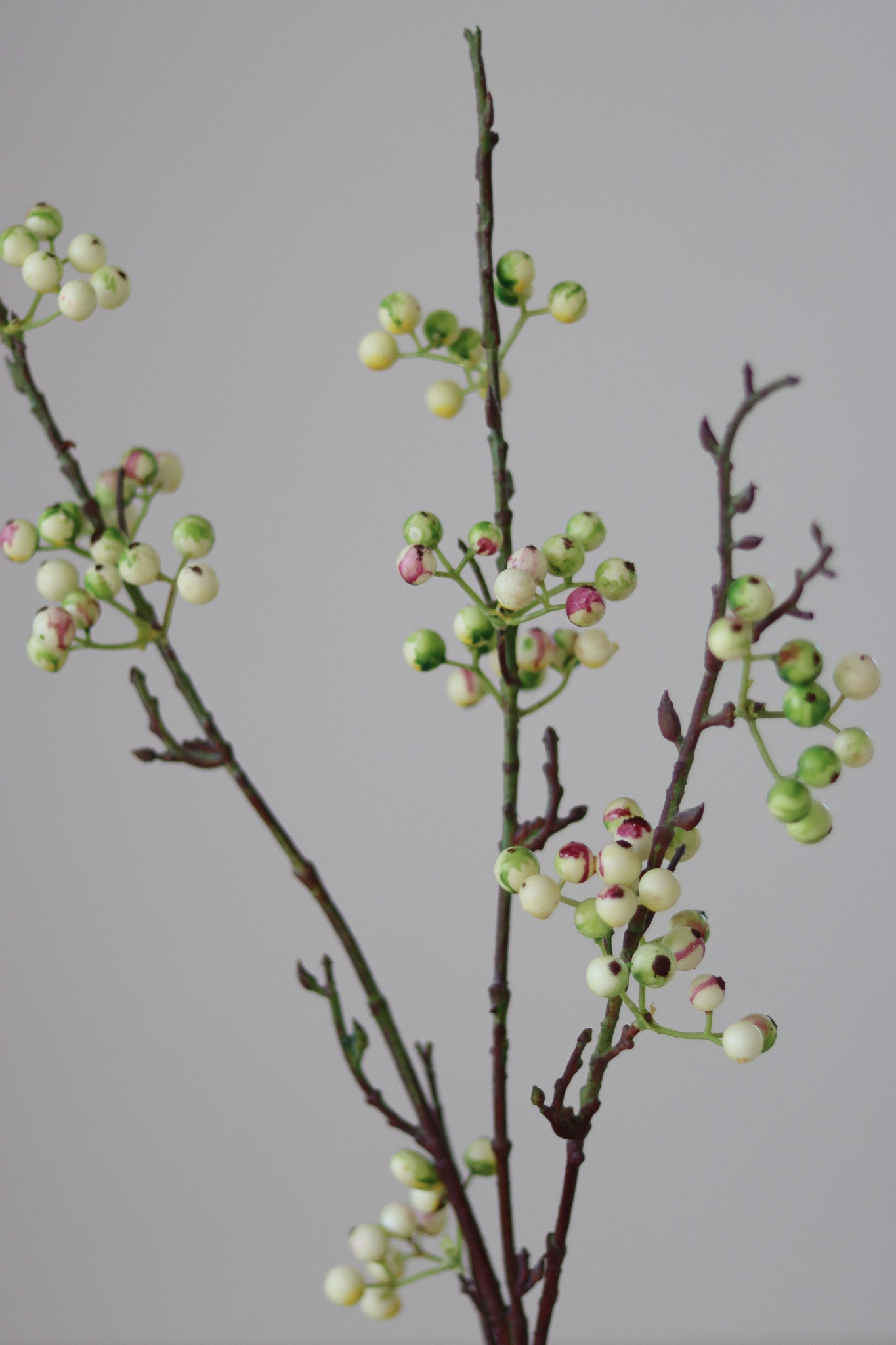 Faux Flowers - Green Berry Spray