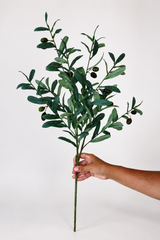 Faux Flowers - Olive Branch